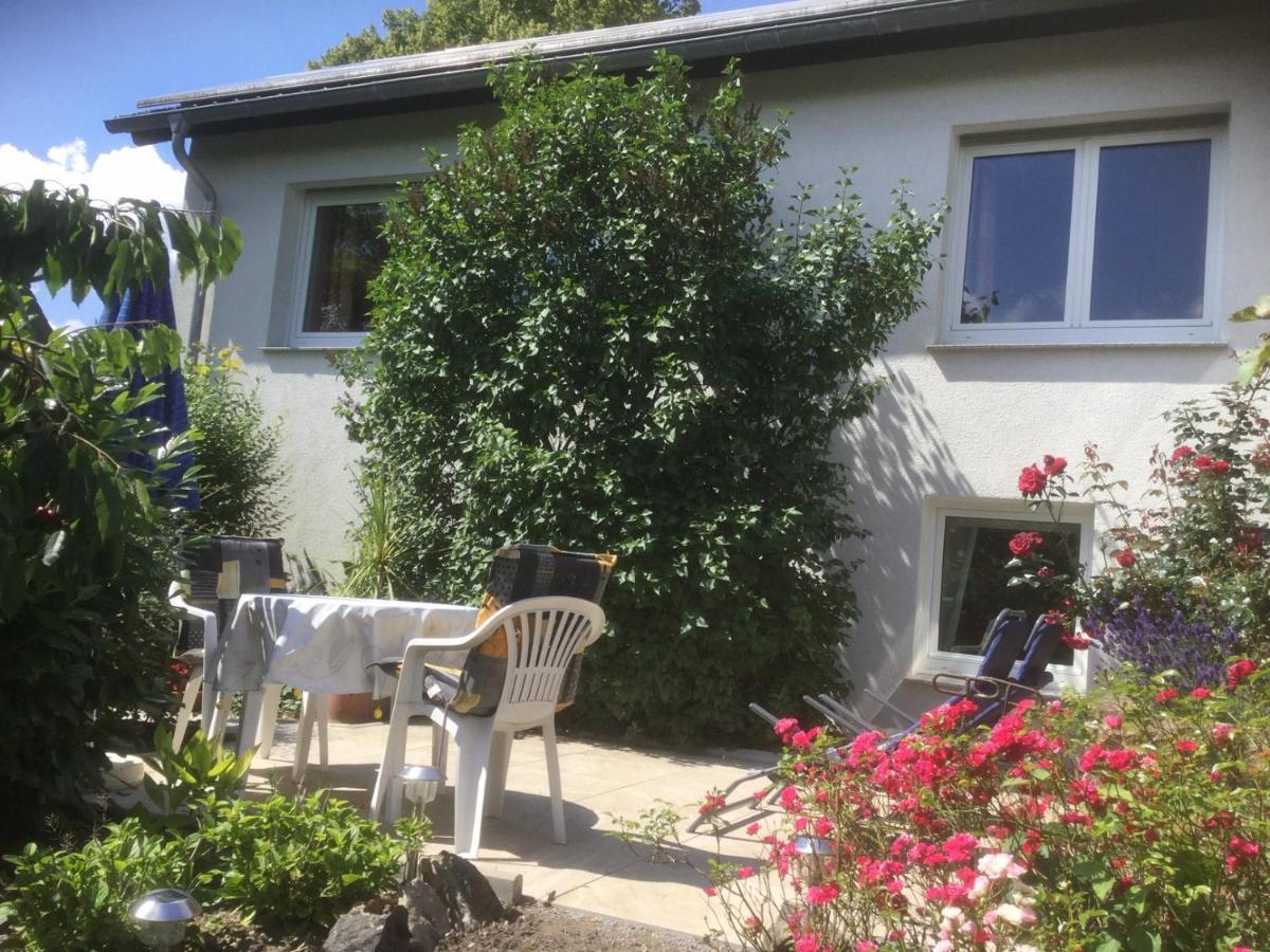 Ferienhaus Moock Horn-Bad Meinberg Dış mekan fotoğraf