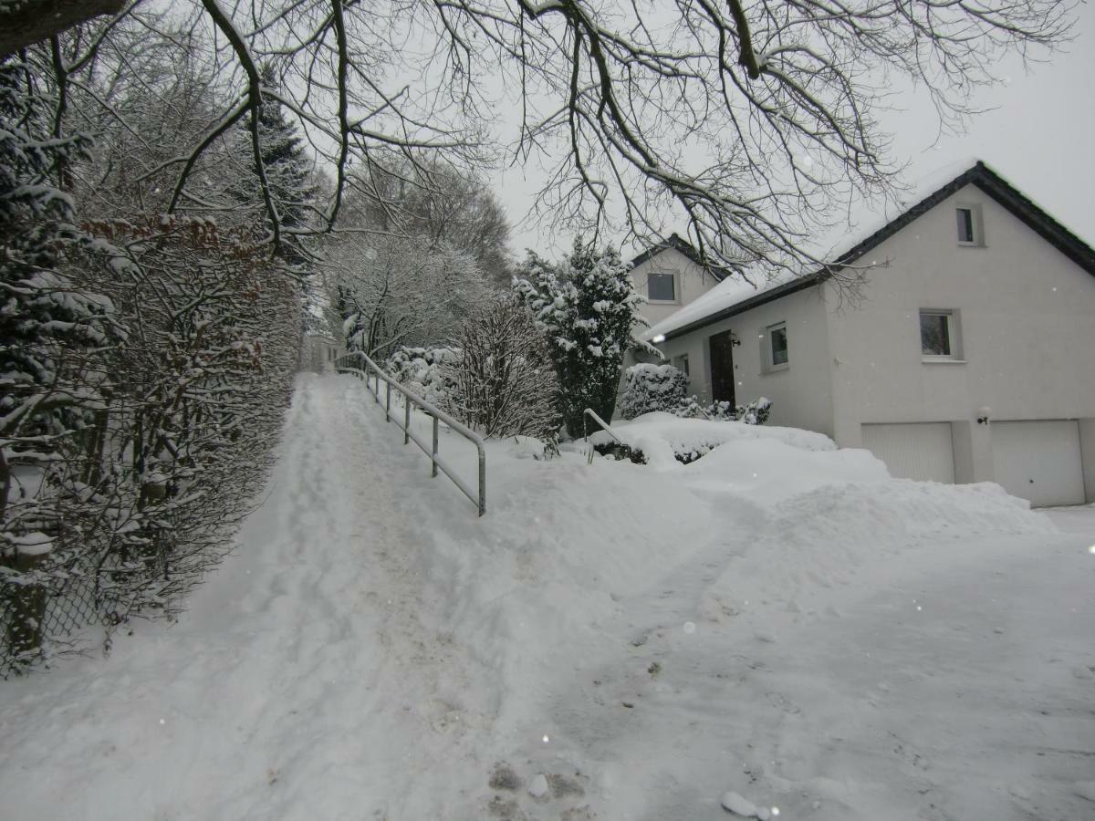 Ferienhaus Moock Horn-Bad Meinberg Dış mekan fotoğraf